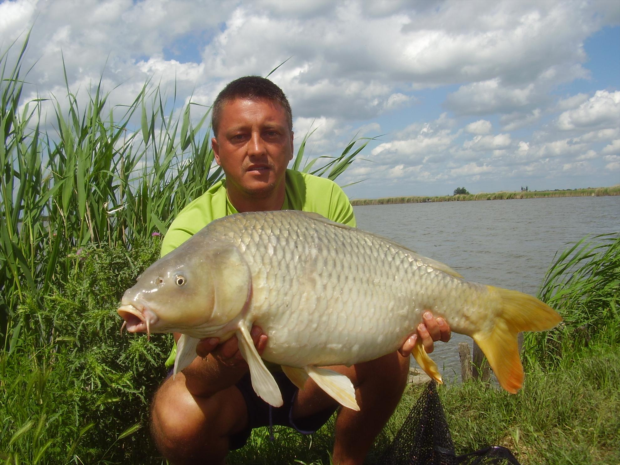 Dan Cristian Coarda - p2070045.JPG